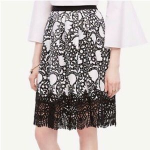 Ann Taylor Tulip Full Skirt 12